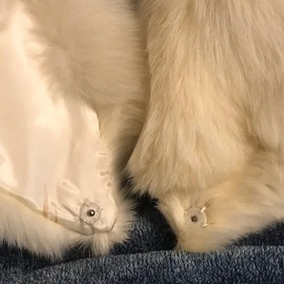 Elegant Cream Fur Collar